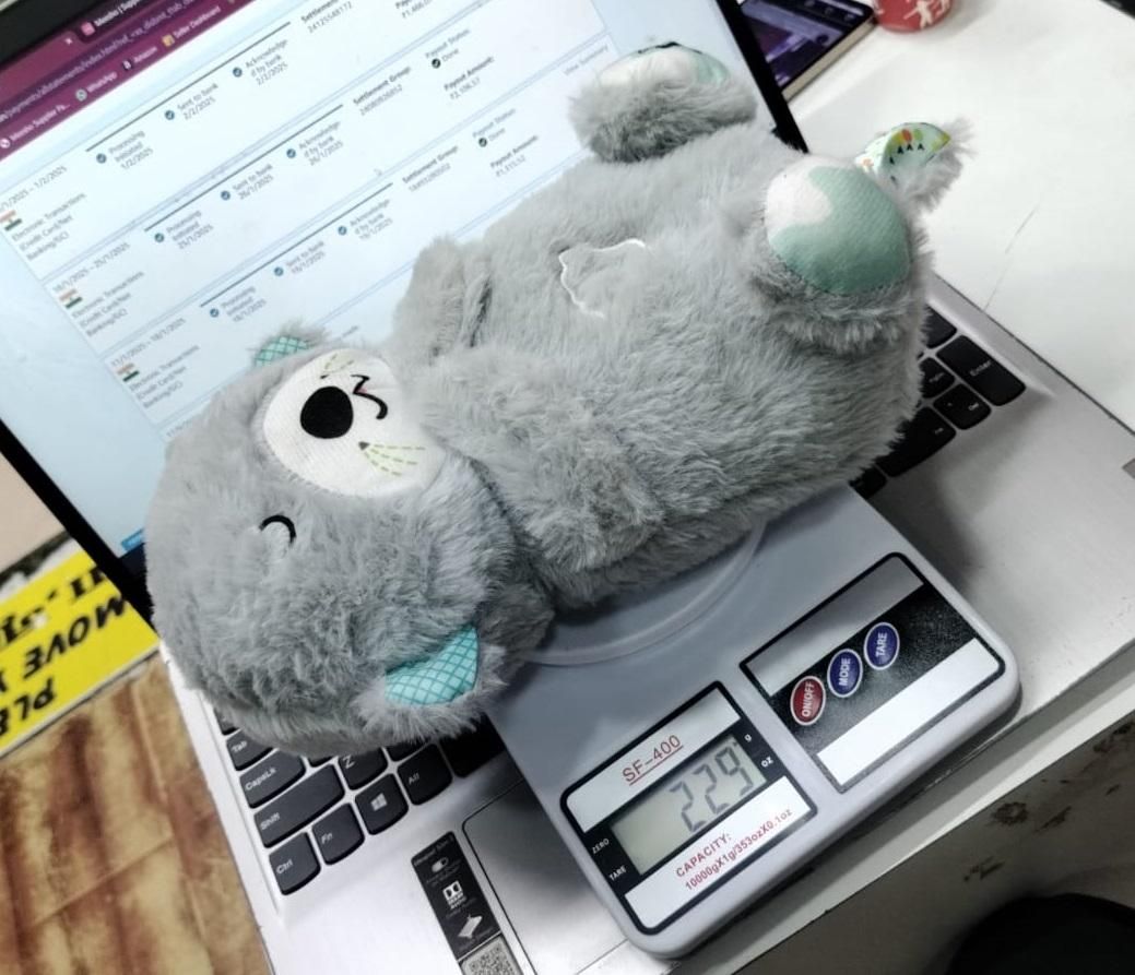 Breathing Teddy Bear with Soothing music